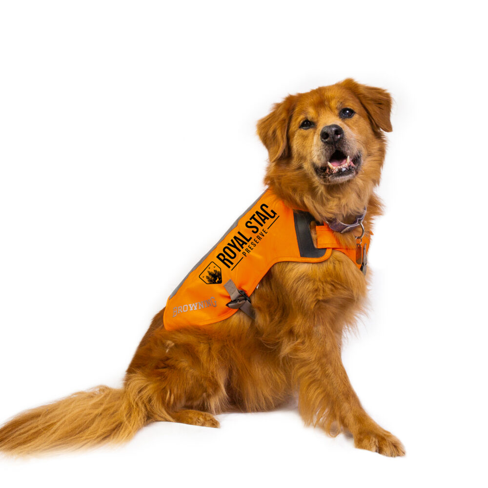 Dog Safety Vest - Browning